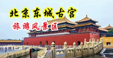 动漫插逼网站中国北京-东城古宫旅游风景区